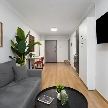 Nest Apartment